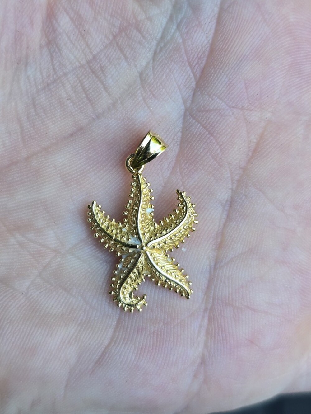 14K Yellow Gold Polished Open-Backed Starfish Charm Pendant
